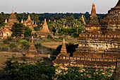 Bagan Myanmar. View of the various stupas close to Buledi. 